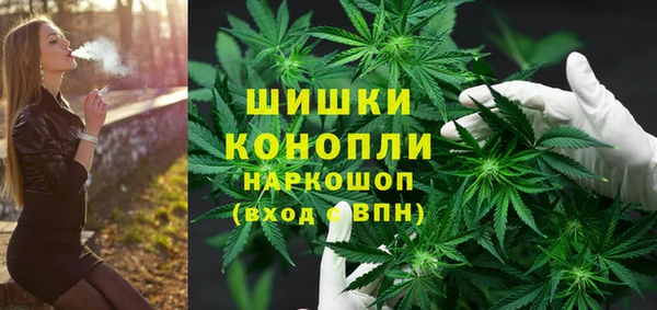 ПСИЛОЦИБИНОВЫЕ ГРИБЫ Алексин