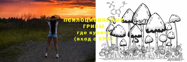 спайс Абдулино